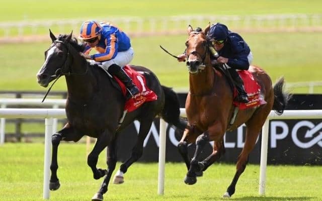 ディープインパクト産駒の英・愛ダービー馬が米国でもタイトルつかむか BCターフでG1・5勝目を狙う