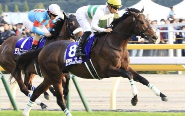 兄は菊花賞馬キセキ、姉は今年のマーメイドS覇者ビッグリボン 良血馬が兄姉に続く新馬勝ちなるか