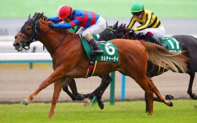 【ファンタジーS】15番人気の伏兵カルチャーデイVの大波乱