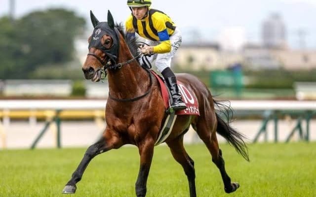 【今日の注目ポイント】アルゼンチン共和国杯とみやこS 早朝の米BCに日本馬8頭が挑戦