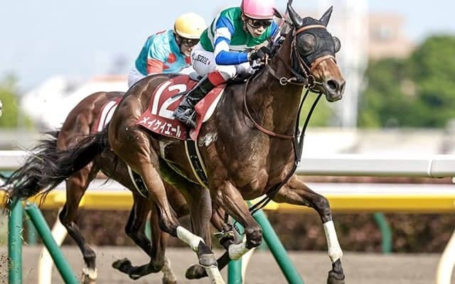 【米・BCフィリー＆メアスプリント結果】グッドナイトオリーブが連覇！ 日本のメイケイエールは9着