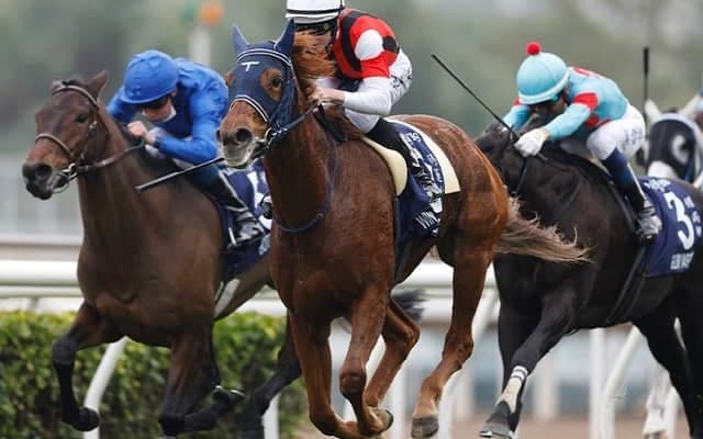 【米・BCフィリー＆メアターフ結果】英インスパイラルがG1・6勝目を挙げる 日本のウインマリリンは4着