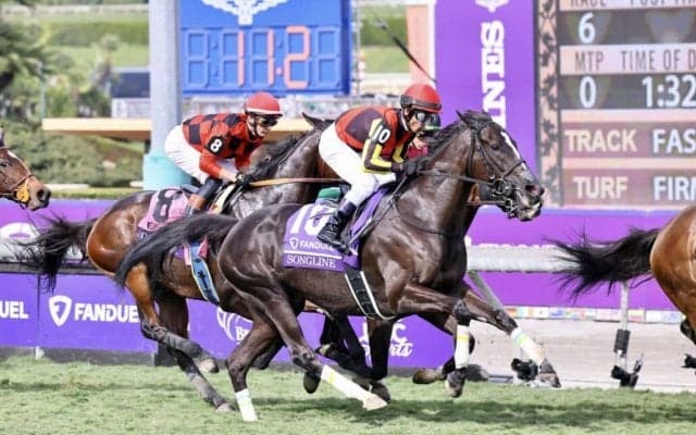 【BCマイル】戸崎圭騎乗、ソングラインは5着、ウインカーネリアンは11着敗退