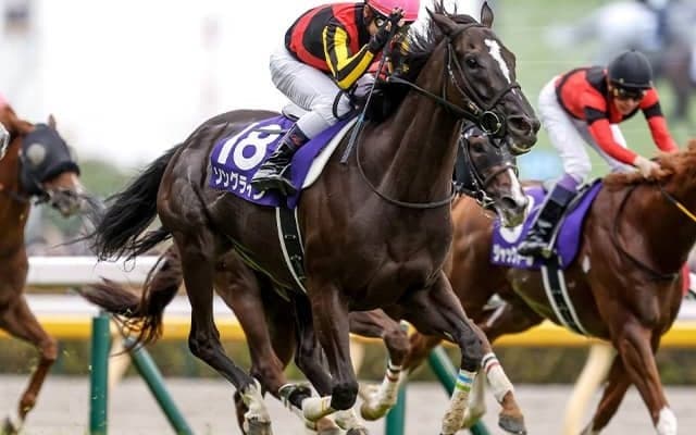 【米・BCマイル結果】マスターオブザシーズが優勝！ 日本のソングラインは5着、ウインカーネリアンは11着