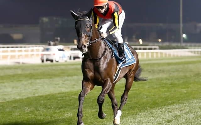 【米・BCターフ結果】ディープインパクト産駒オーギュストロダンが優勝！ シャフリヤールは3着