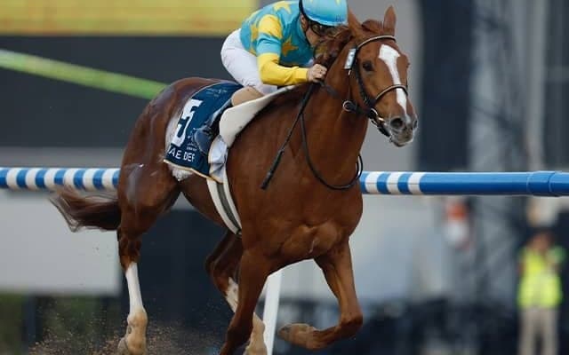 【米・BCクラシック結果】ホワイトアバリオが優勝！デルマソトガケが2着に健闘