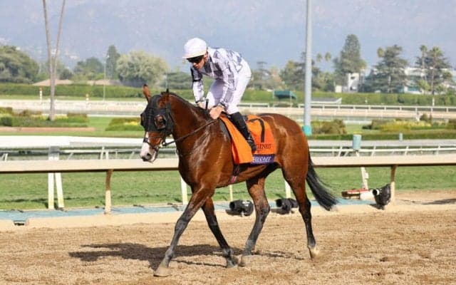 【BCターフ】キーファーズ所有 ブルームは11着敗退…オーギュストロダンがV