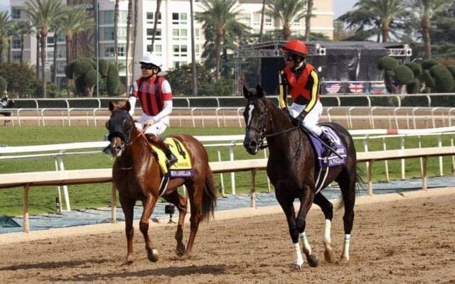 【BCマイル】鹿戸師「自分の競馬は出来た」ウインカーネリアンは11着敗退