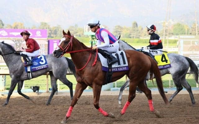 【BCターフスプリント】川田「3コーナーで苦しい走りに」ジャスパークローネは最下位