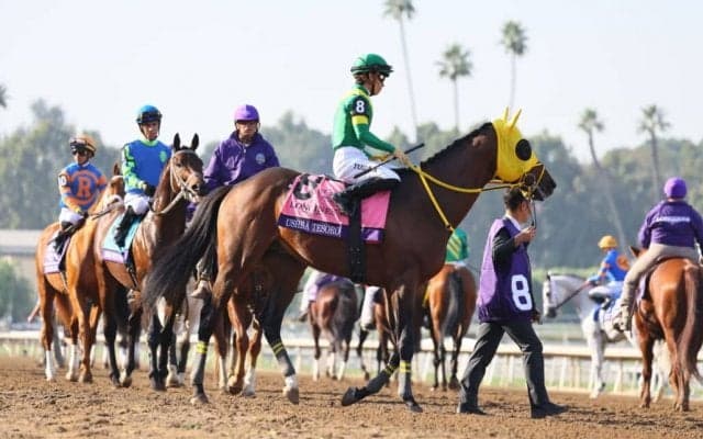 【BCクラシック】高木師「タフな馬場」ウシュバテソーロは5着敗退