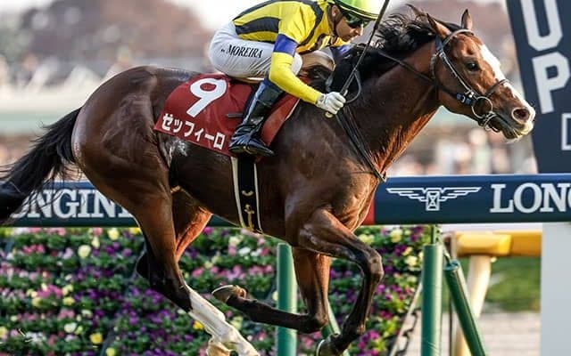 【アルゼンチン共和国杯結果】ゼッフィーロが人気に応え重賞初制覇！