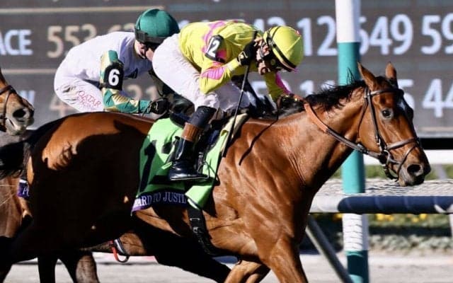 【BCジュベナイルフィリーズターフ】ジャスティファイ産駒が連勝…ハードトゥジャスティファイがV