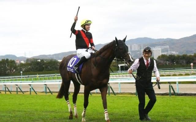 【マイルCS】セリフォス、シュネルマイスターらが登録