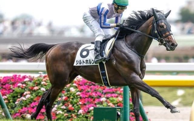 【福島記念】シルトホルン、ホウオウエミーズらが登録