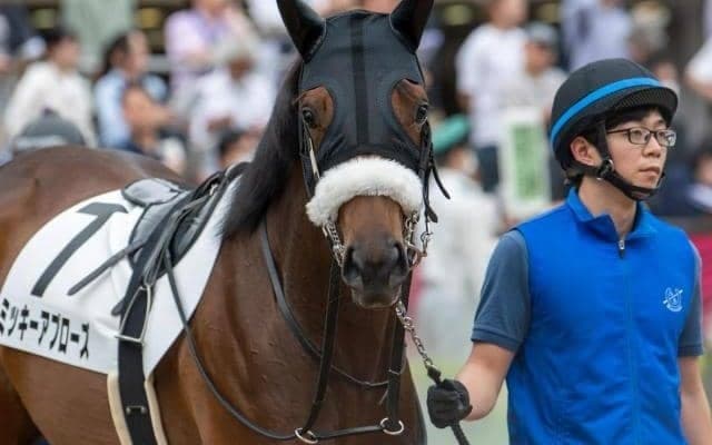 東京2R出走のミッキーアプローズが予後不良