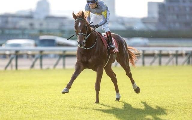 【メルボルンC】ブレークアップは18番ゲート 吉岡師「すごく良い枠だと思う」