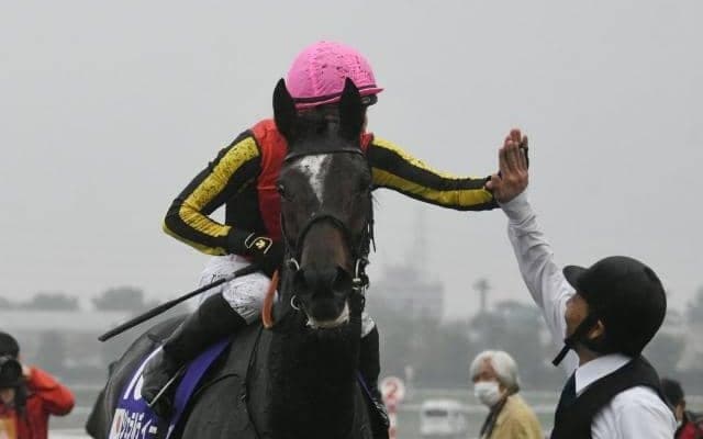 秋の女王決定戦エリザベス女王杯などJRAでは5重賞/今週の競馬界の見どころ