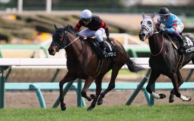 【福島記念登録馬】ホウオウエミーズなど22頭