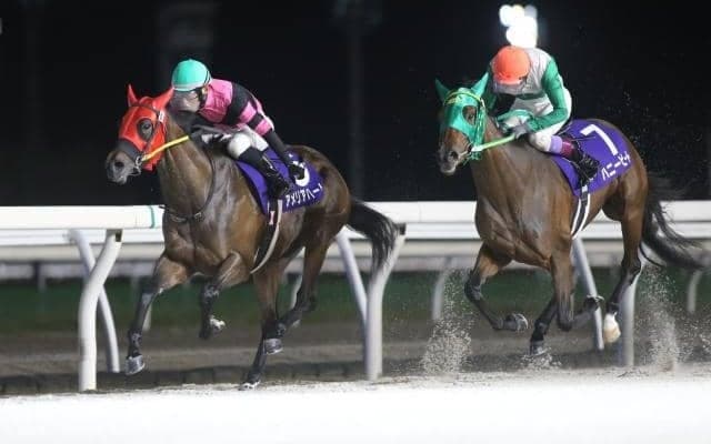 【川崎・ローレル賞枠順】道営のアメリアハートは2枠2番、3戦連続好走中のスピニングガールは3枠3番
