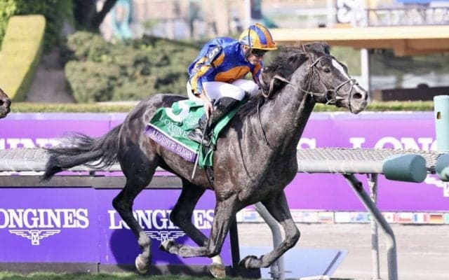 【BCターフ】ディープ産駒 オーギュストロダンがV…C.デムーロ騎乗、シャフリヤールは3着敗退