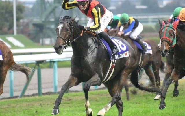 【エリザベス女王杯見どころ】ジェラルディーナが史上5頭目の連覇を狙う