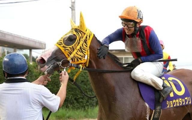 13戦12勝ショウガタップリは4枠4番、前哨戦を8馬身差Vのマテリアルガールは7枠9番/川崎・ロジータ記念枠順