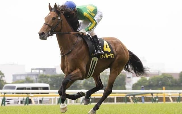 【先週のJRA抹消馬】19年菊花賞2着のサトノルークス、芝マイル戦を中心に活躍したピースワンパラディなど