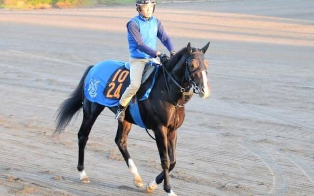 三冠牝馬アパパネの仔が臨戦態勢 国枝師「動きは合格点」/関東馬メイクデビュー情報