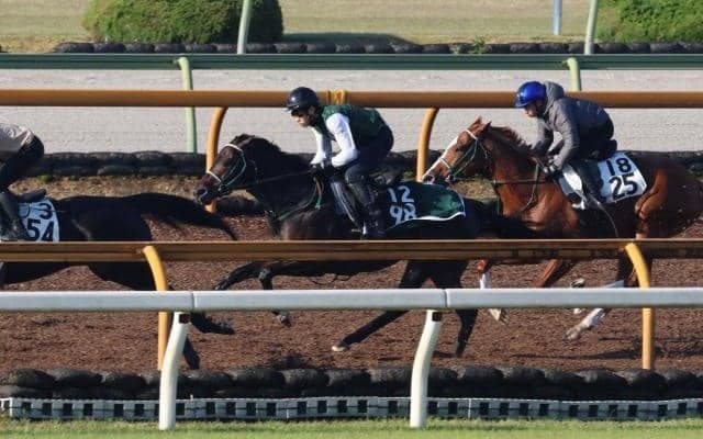 古馬相手も全く見劣りしない動き ローガンパスはデビューへ向け状態良好/関西馬メイクデビュー情報