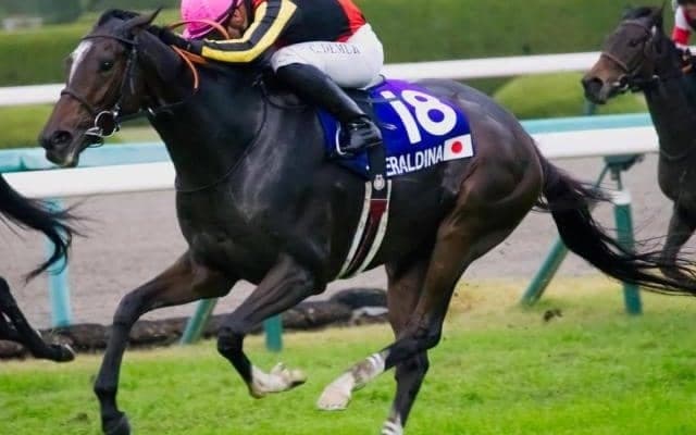 生まれつきGI勝ち約束された超良血 エリザベス女王杯5頭目の快挙なるか