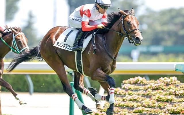 【デイリー杯2歳S想定騎手】ダノンキラウェアは川田将雅騎手、フルレゾンはR.ムーア騎手