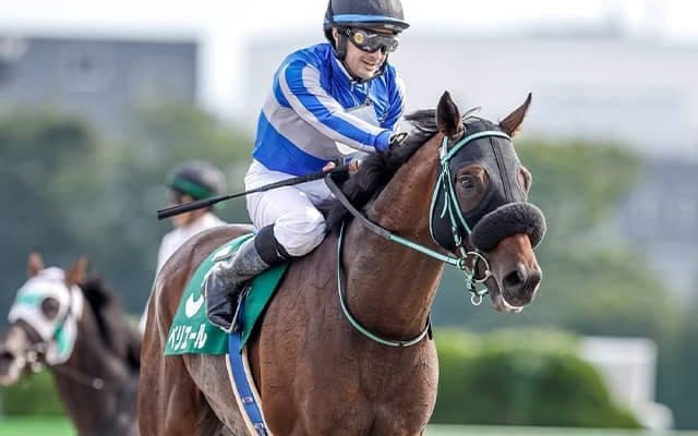 【武蔵野S想定騎手】ペリエールはC.ルメール騎手、ドライスタウトは横山武史騎手