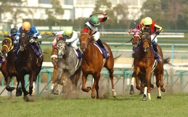 エリザベス女王杯で娘同士が激突 ジェンティルドンナとヴィルシーナの“桜決戦”を再び