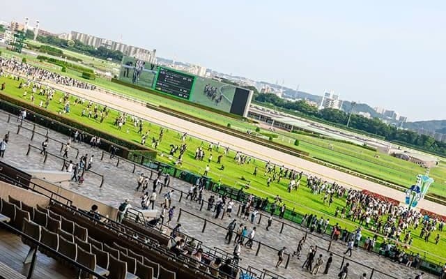 競馬のあれこれ五七五に 1800句から選ばれた最優秀作は？