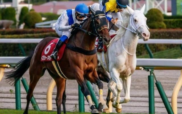 レース史上初の6歳馬Vなるか エリザベス女王杯に岩田康誠騎手との“ベテランコンビ”参戦