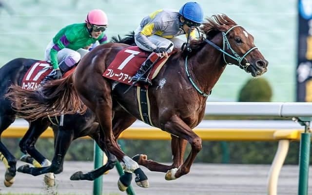 【豪・メルボルンC結果】ウィズアウトアファイトが優勝！ 日本のブレークアップは着外