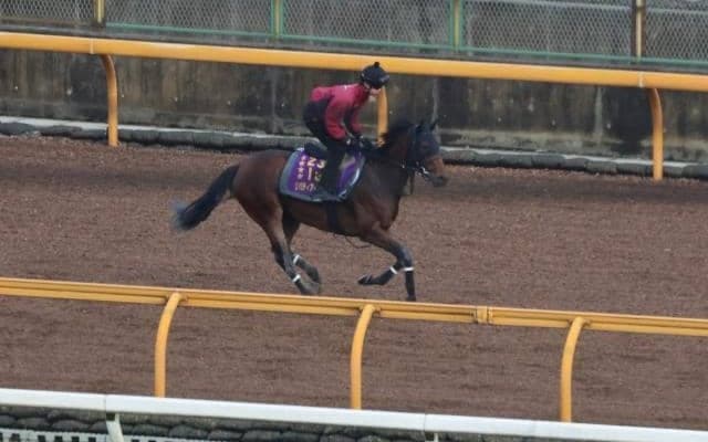 リバティアイランドなど、先週の入厩情報/栗東トレセンニュース