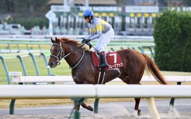 【メルボルンカップ】松山「持ち味活かせなかった」…ブレークアップは16着敗退