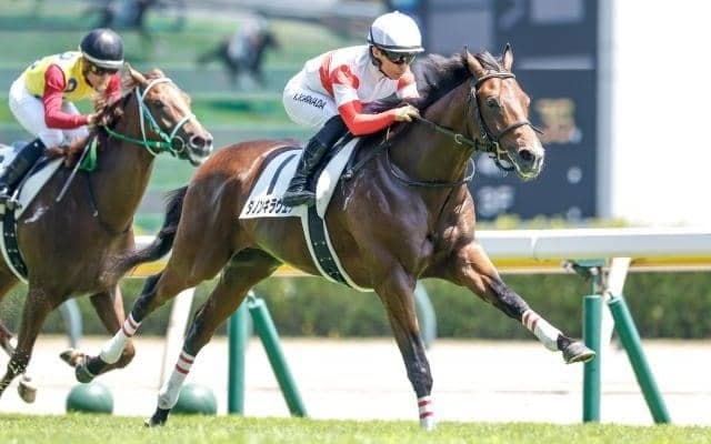 【デイリー杯2歳S予想オッズ】ダノンキラウェアが予想1番人気