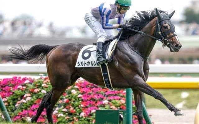 【福島記念予想オッズ】シルトホルンが予想1番人気