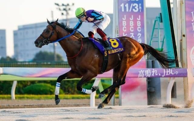 「遺髪はあえて持ってこなかった」数々の悪夢を乗り越え、イグナイターが叶えた“悲願”