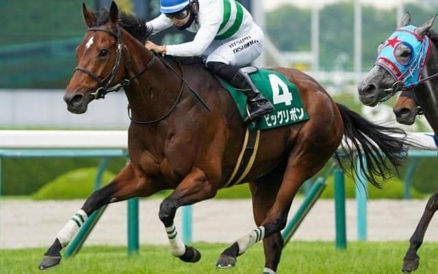 全兄キセキに続け マーメイドS覇者がエリザベス女王杯Vに挑む