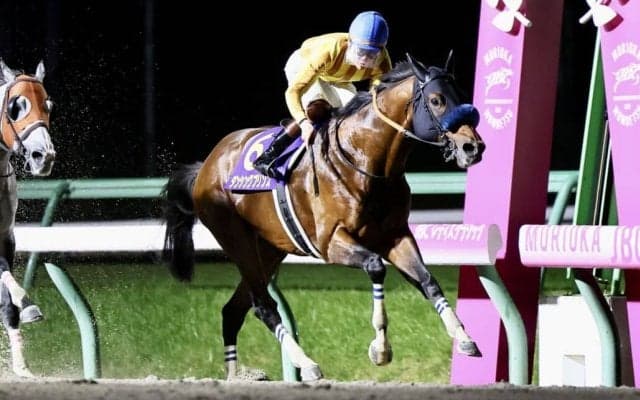 ダンシングプリンスが競走馬登録抹消