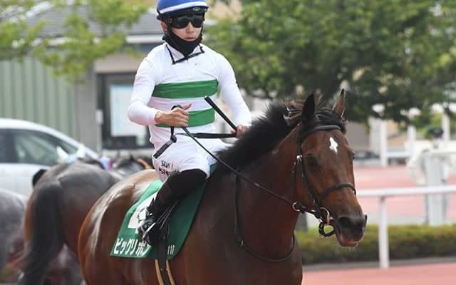 エリザベス女王杯は中内田充正厩舎が2頭出し 良血重賞馬たちがスタンバイ