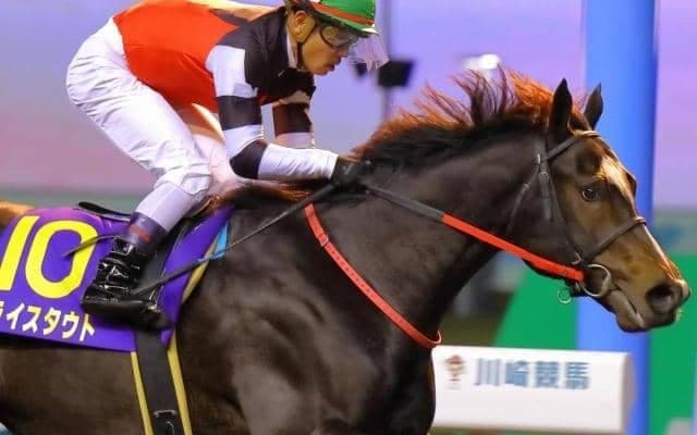シニスターミニスター産駒は東京ダ1600mが苦手!? 武蔵野S参戦の重賞2勝馬に気になるデータ