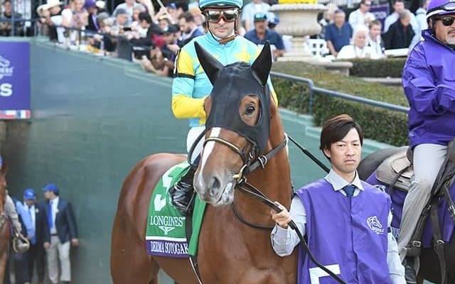 ブリーダーズCに遠征していた日本馬8頭が帰国