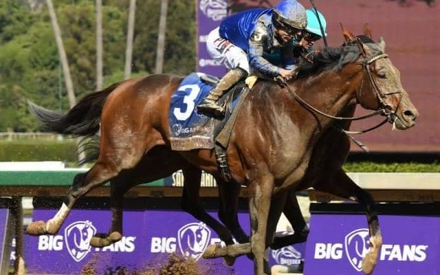 難病の子供と深い絆で結ばれたG1ホース 馬名の意味は「コディーの願い」