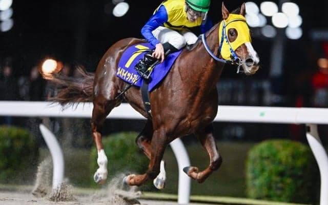 【川崎・ロジータ記念結果】メイドイットマムが早め先頭から押し切り重賞3勝目