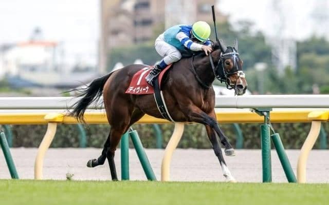 【エリザベス女王杯予想】AIの強調材料は“格の高いレースを経由してきた” こと 距離適性から人気低下のこの馬に注目！