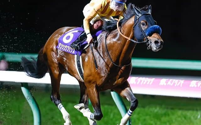 JpnI馬ダンシングプリンスが引退・種牡馬入り 22年のJBCスプリントなど重賞4勝